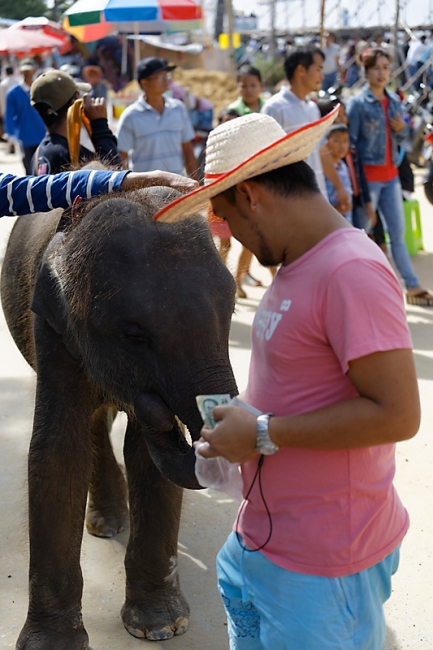 Famille et amis-NOV13-179